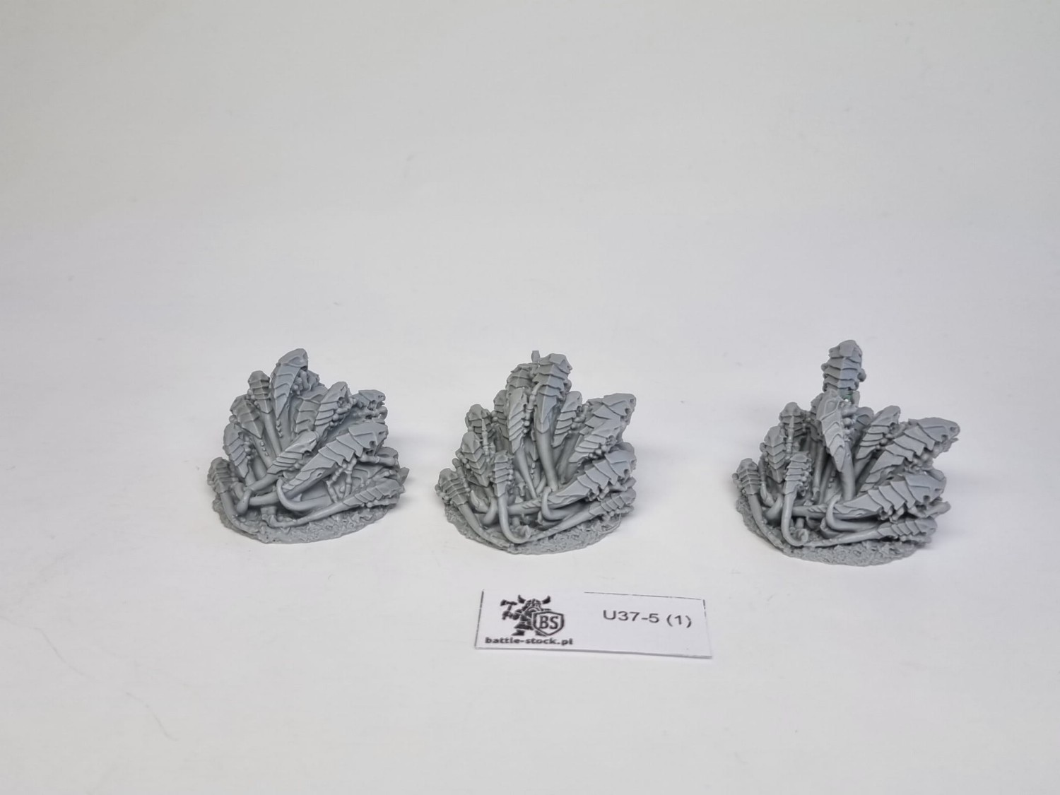ripperswarm set FW