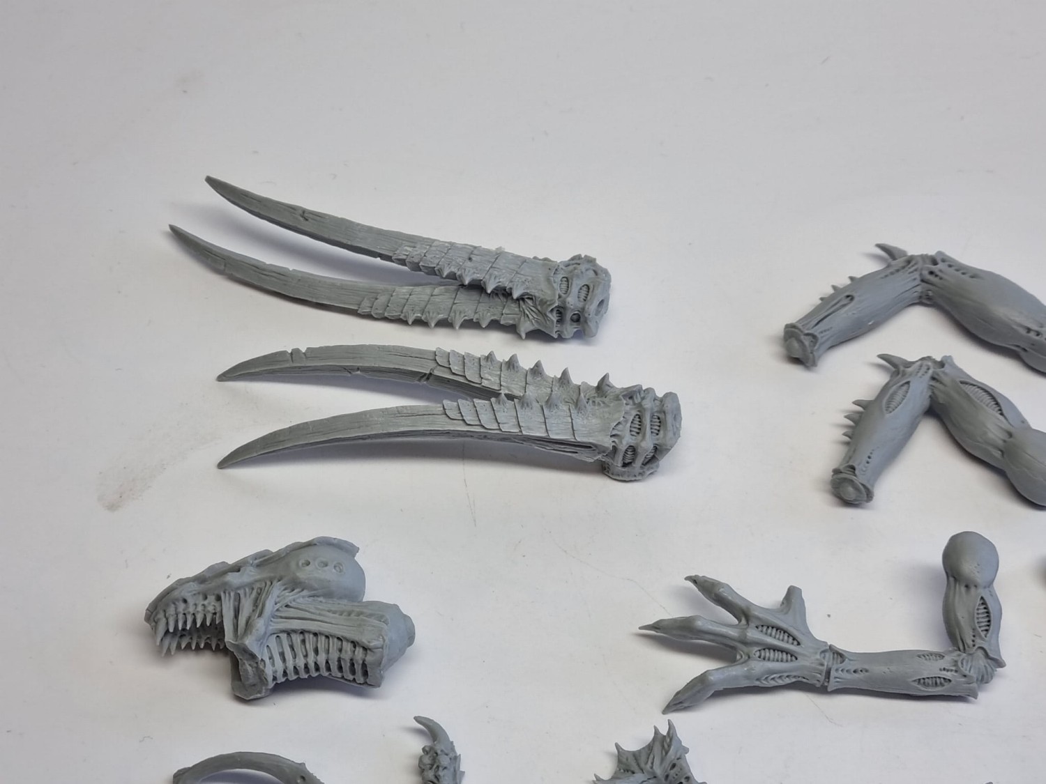 40k tyranid dimachreon (brak zabkow) FW