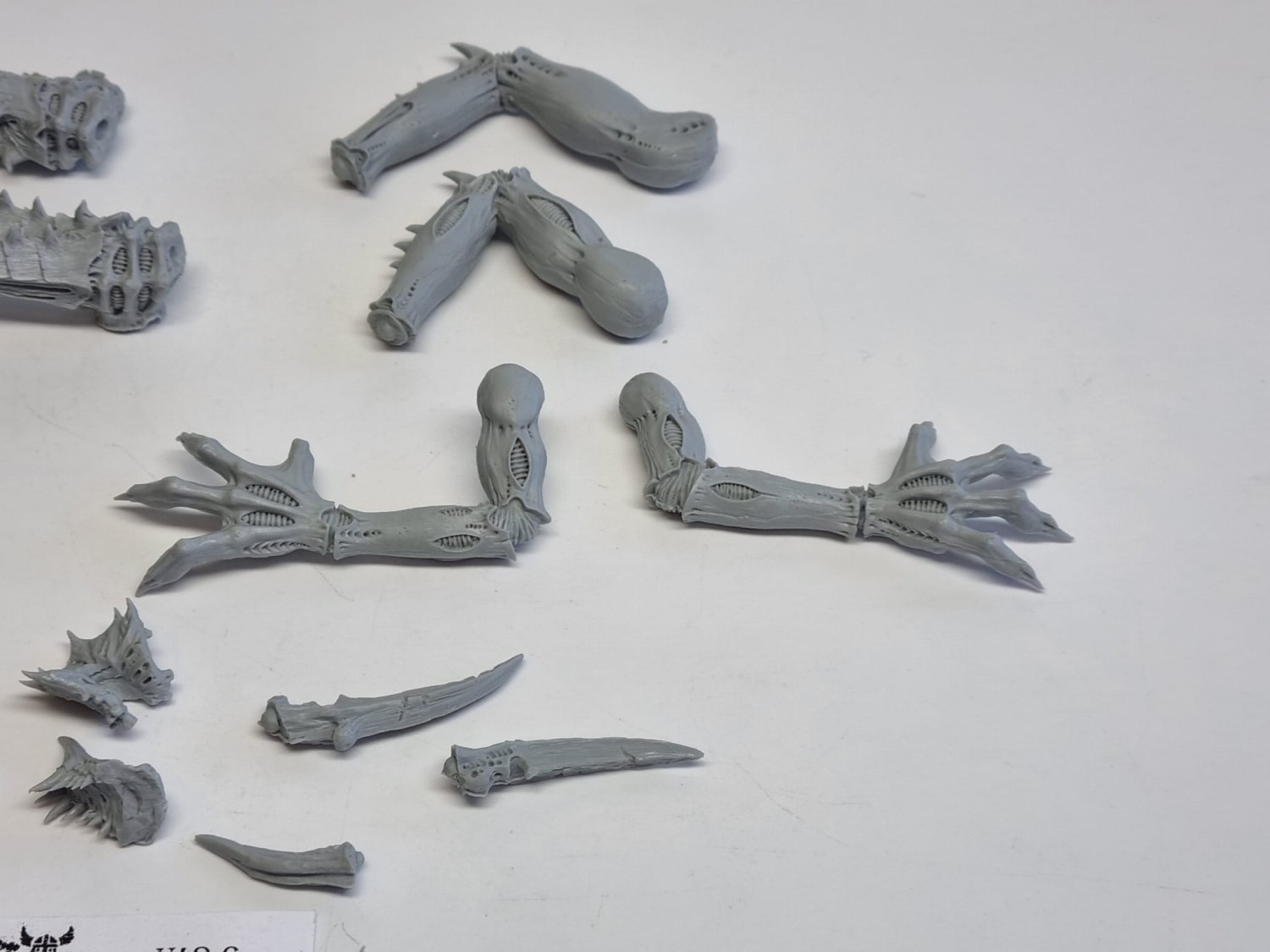 40k tyranid dimachreon (brak zabkow) FW