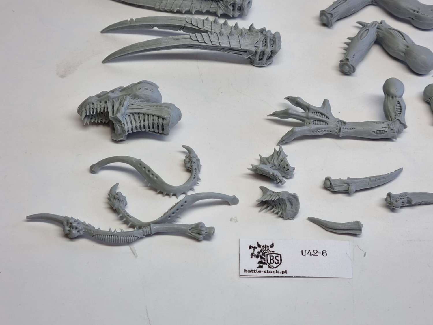 40k tyranid dimachreon (brak zabkow) FW