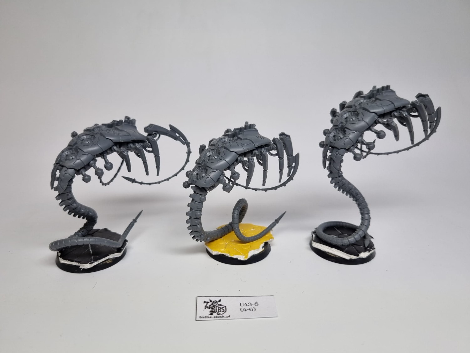 40k wraiths