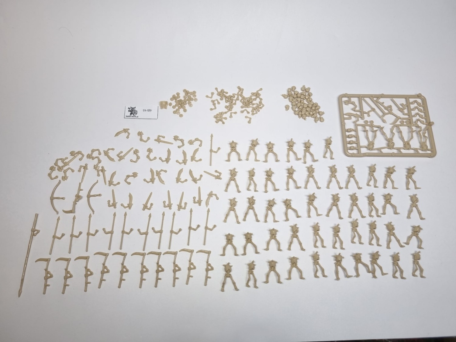 warhammer fantasy armies szkielety