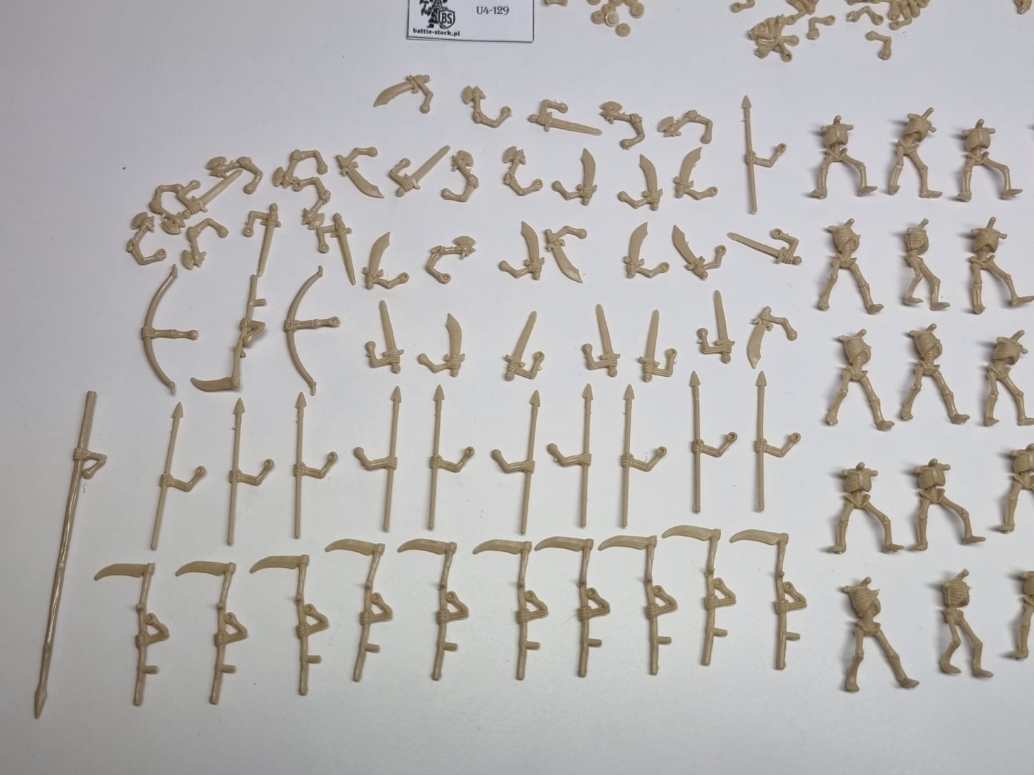 warhammer fantasy armies szkielety