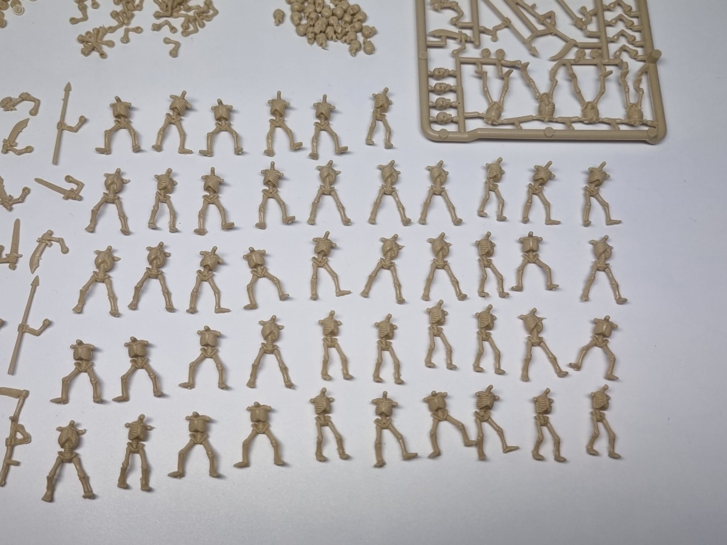 warhammer fantasy armies szkielety