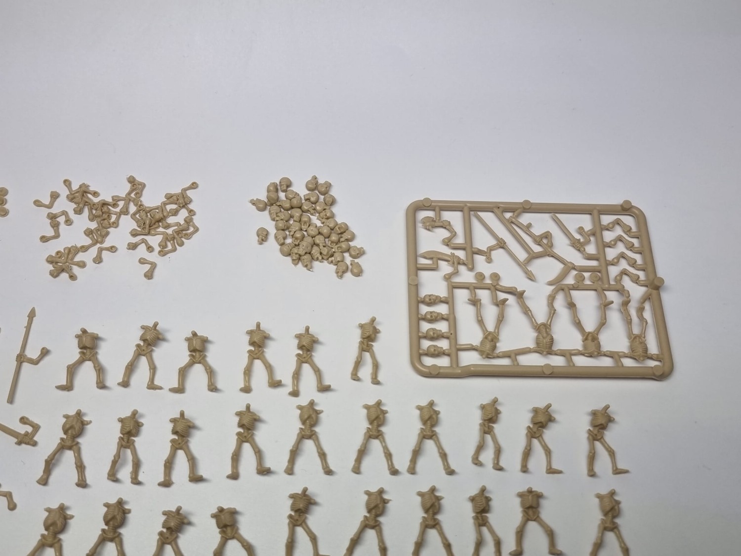 warhammer fantasy armies szkielety