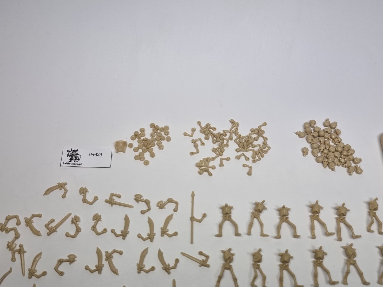 warhammer fantasy armies szkielety