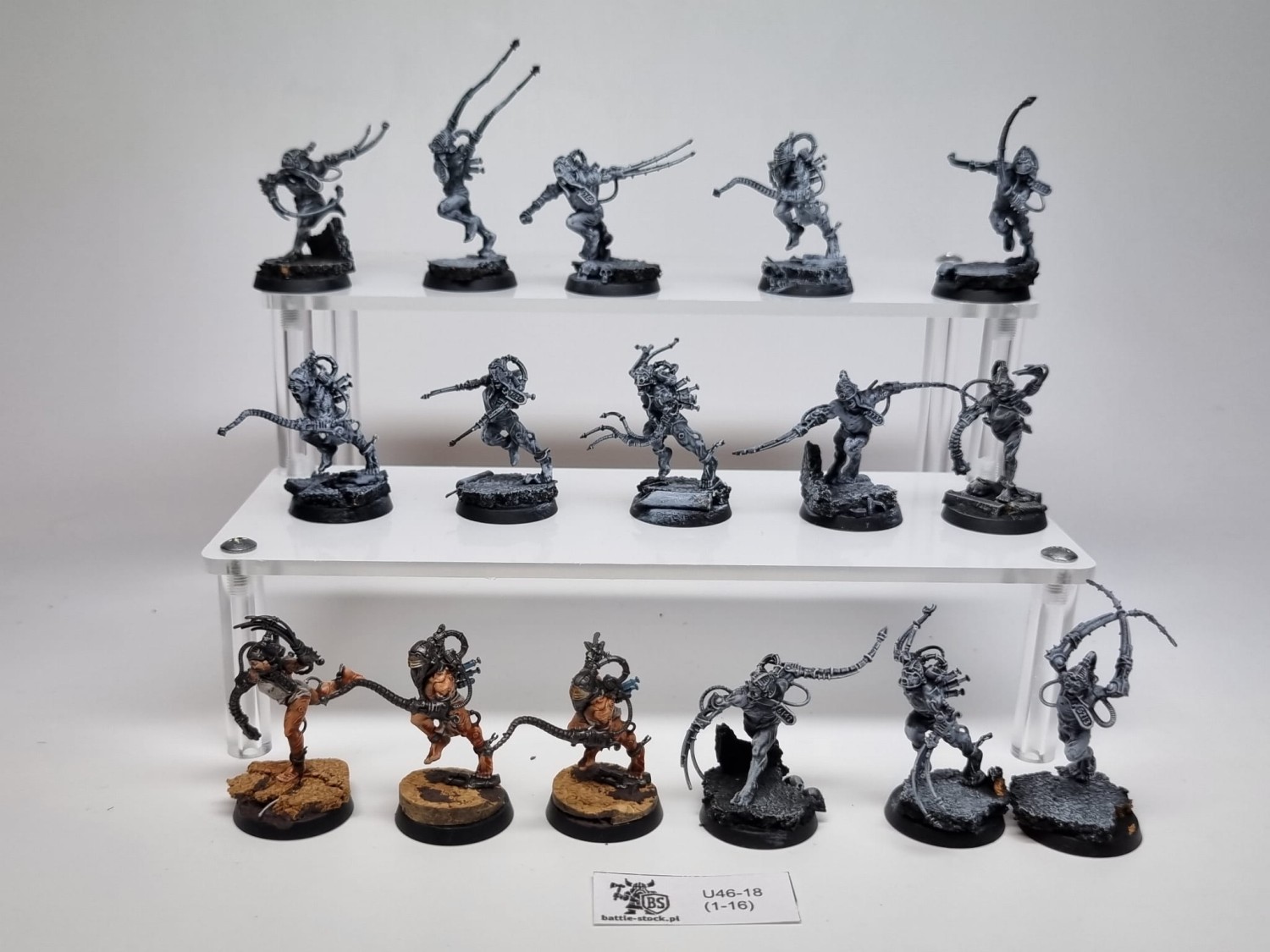 40k arco-flagellants