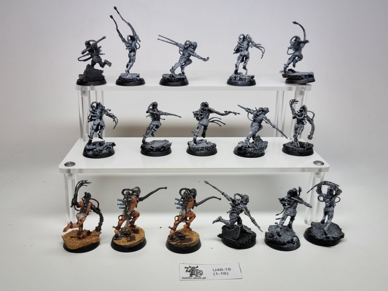 40k arco-flagellants