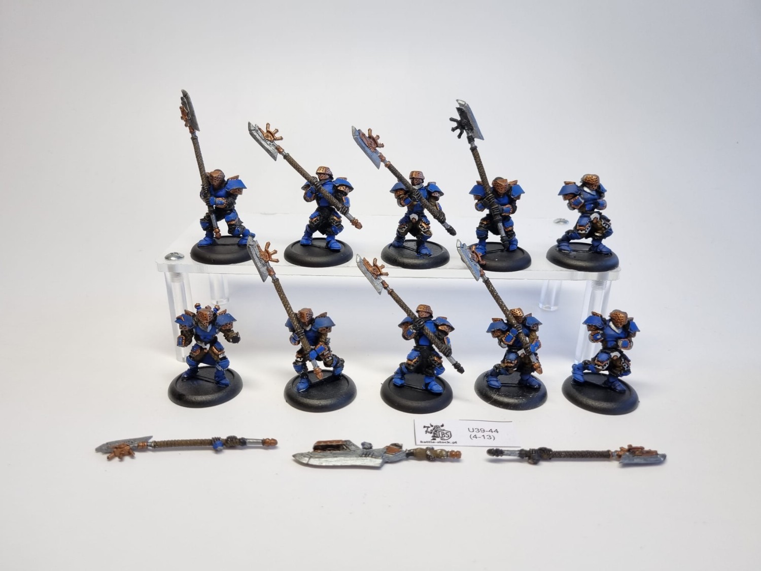 Warmachine Stormguard - Storm Knight
