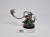 WFB Packmaster Skweel Gnawtooth