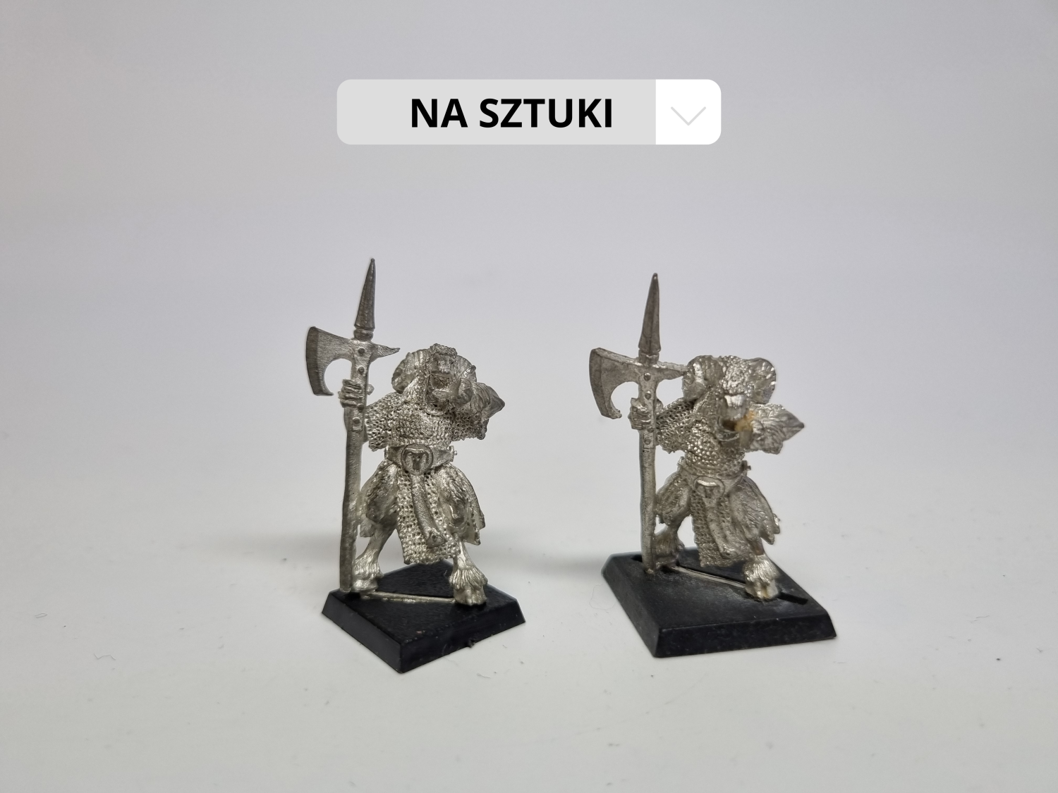 WFB muzyk bestigors wybrakowany