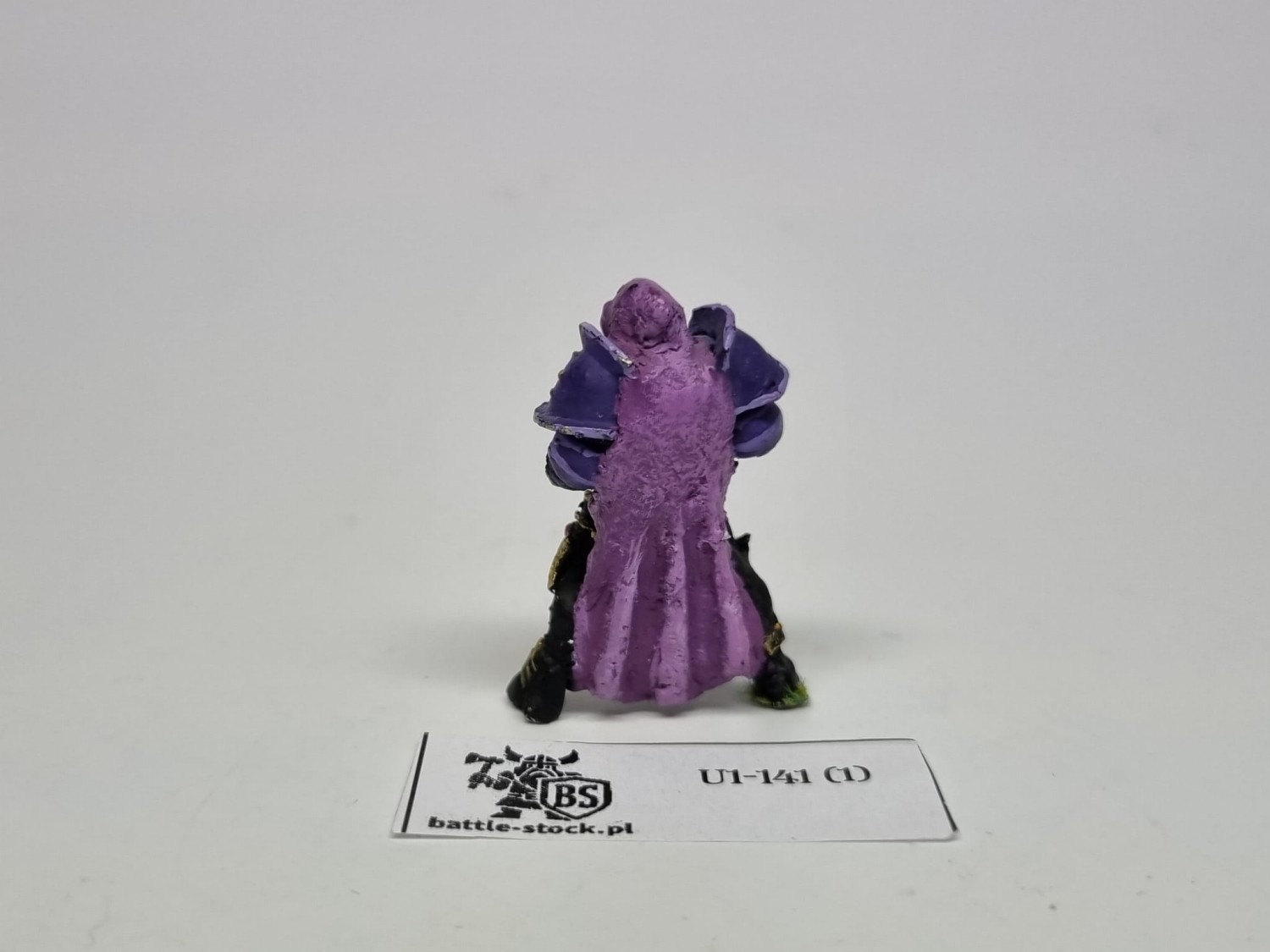 WFB tors champion of slaanesh