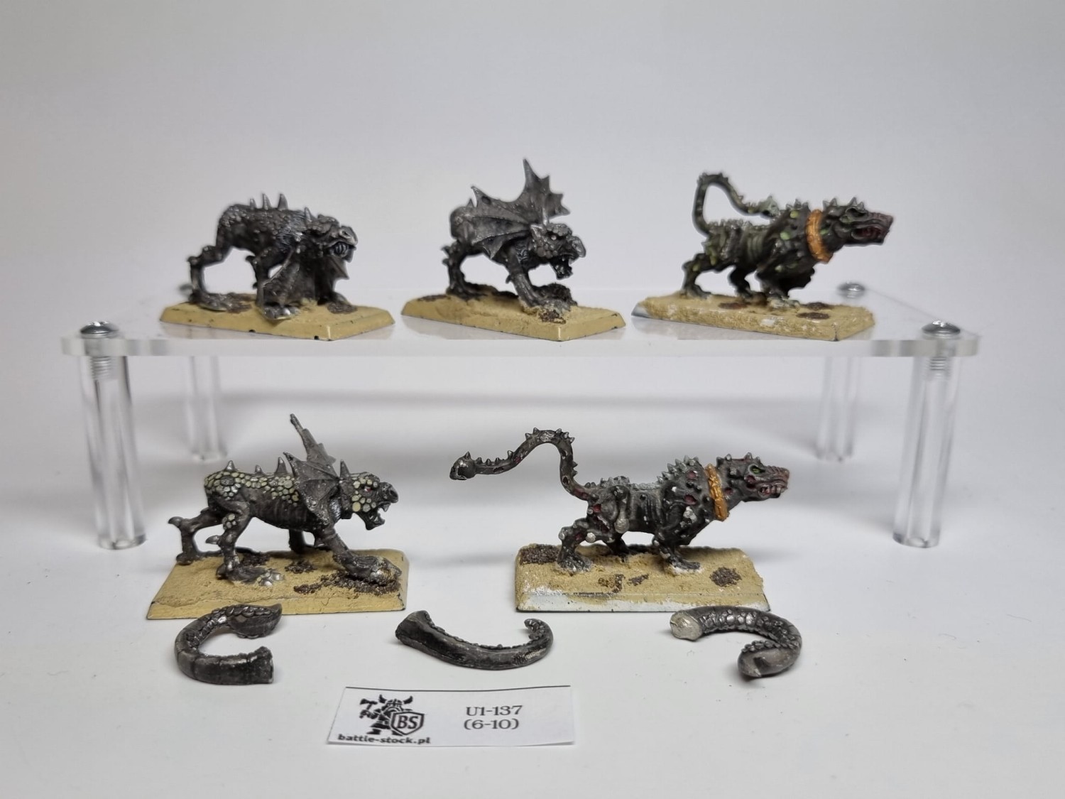 WFB chaos hounds
