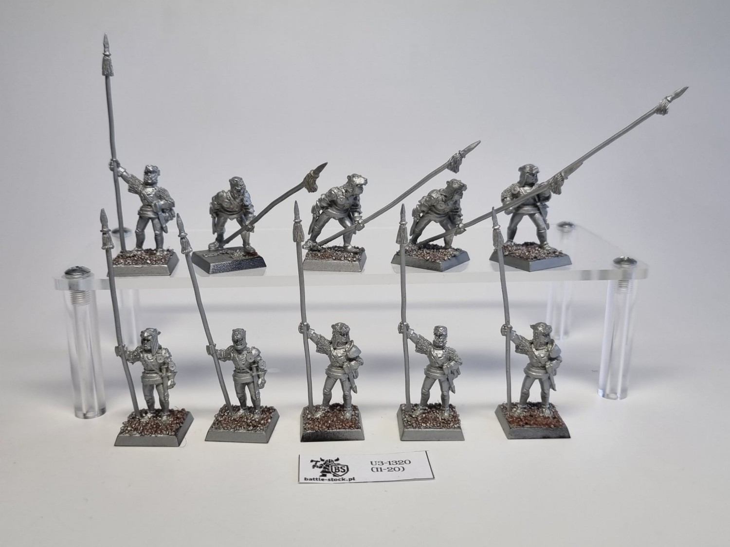 WFB leopold's leopard company szary podkład