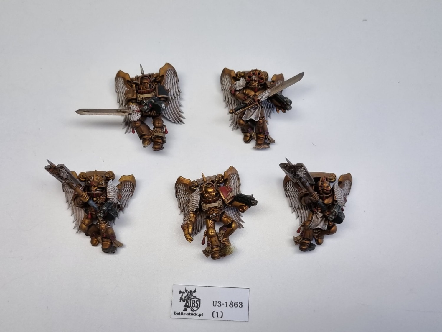 40k Sanguinary guard OOP