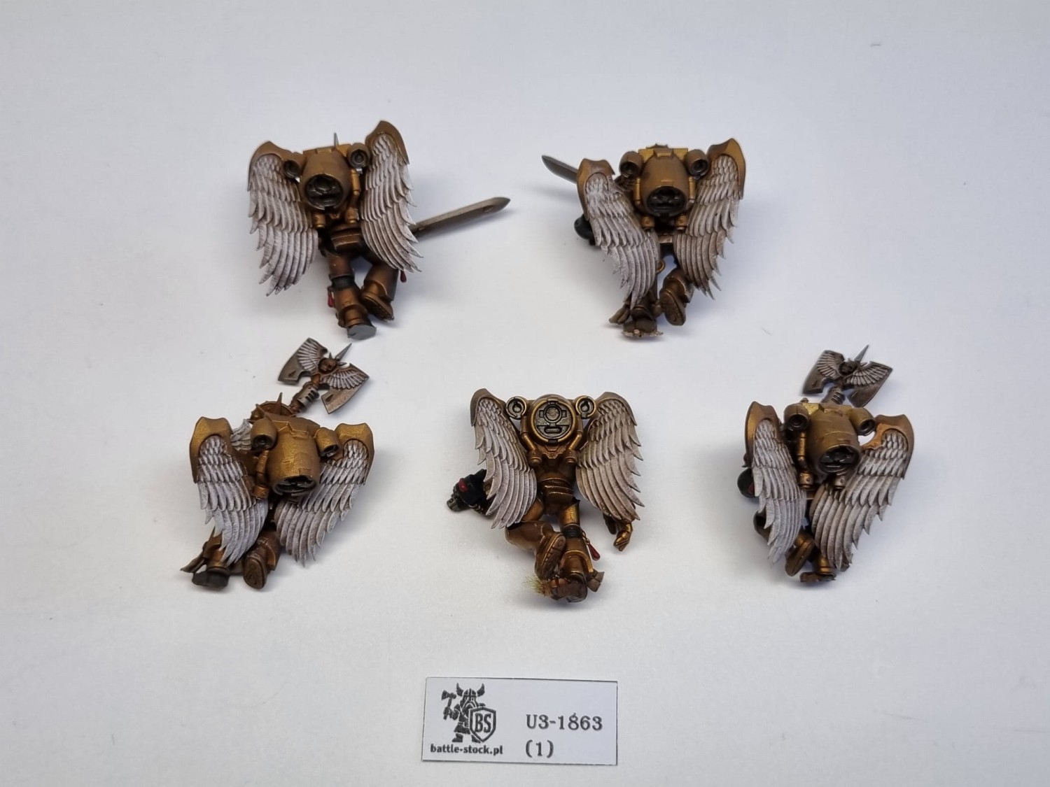 40k Sanguinary guard OOP