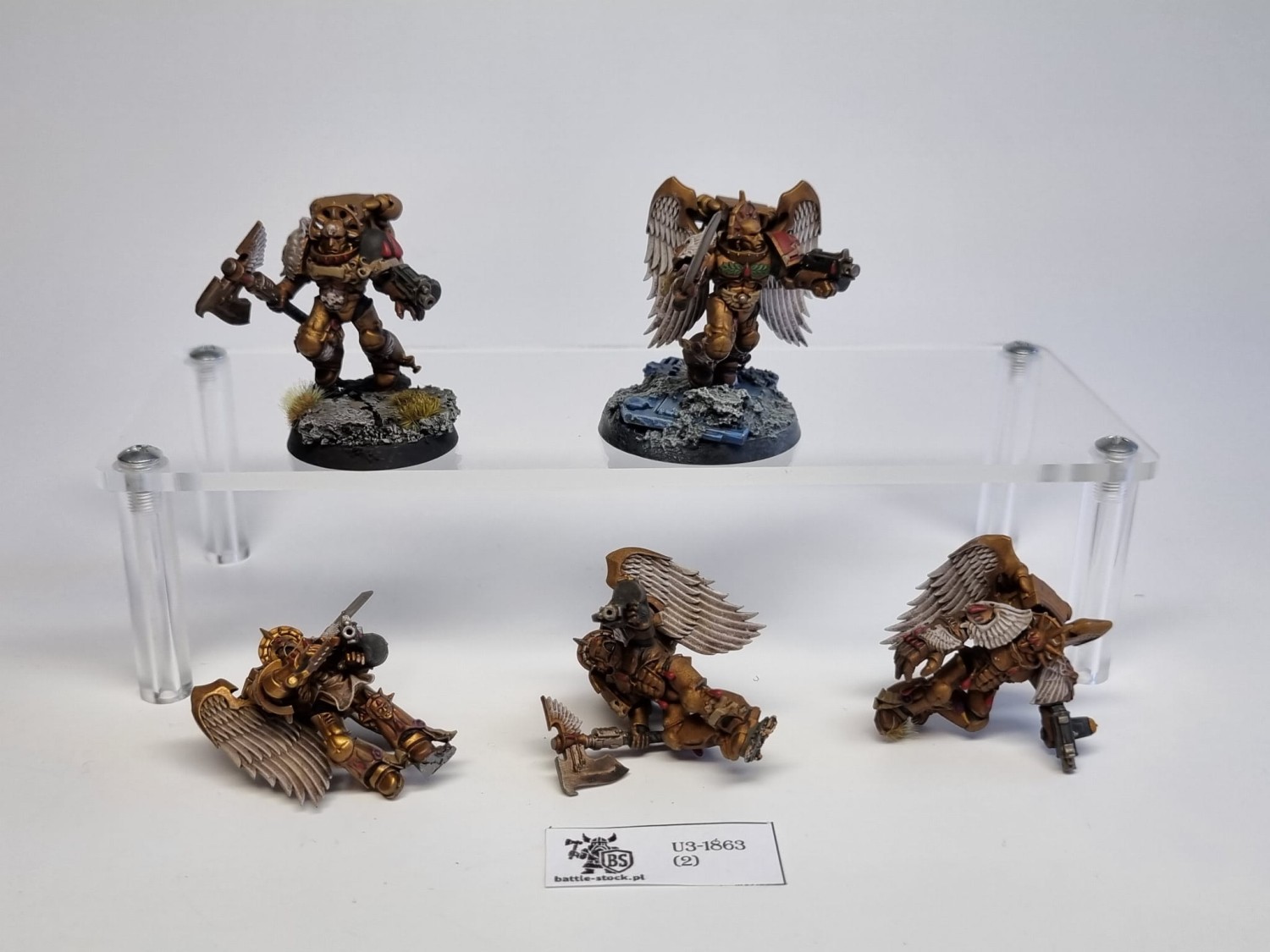 40k Sanguinary guard OOP