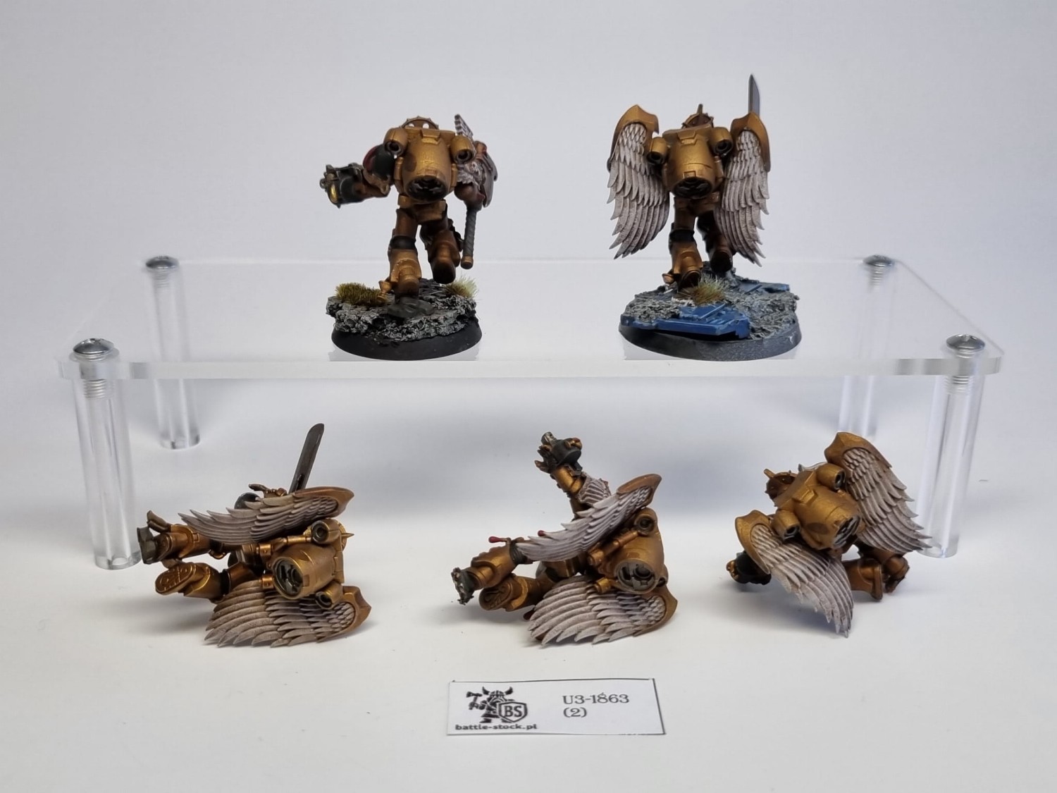 40k Sanguinary guard OOP