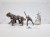 WFB questing knights M