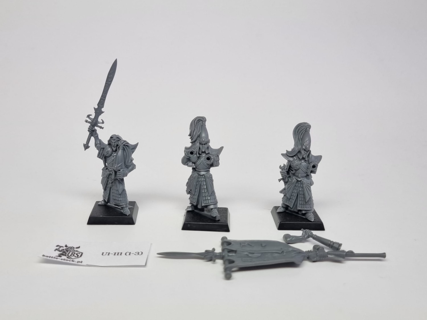 WFB HE swordsmasters plastik