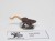 WFB Giant rat
