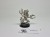 40k Wych