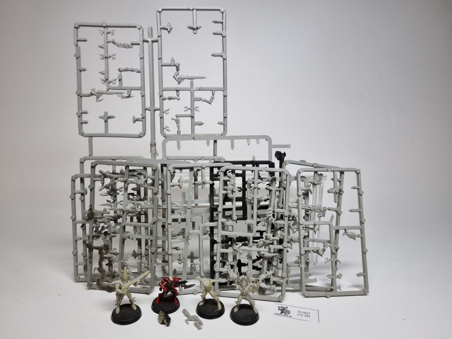 40k Dark Eldar warriors monopose