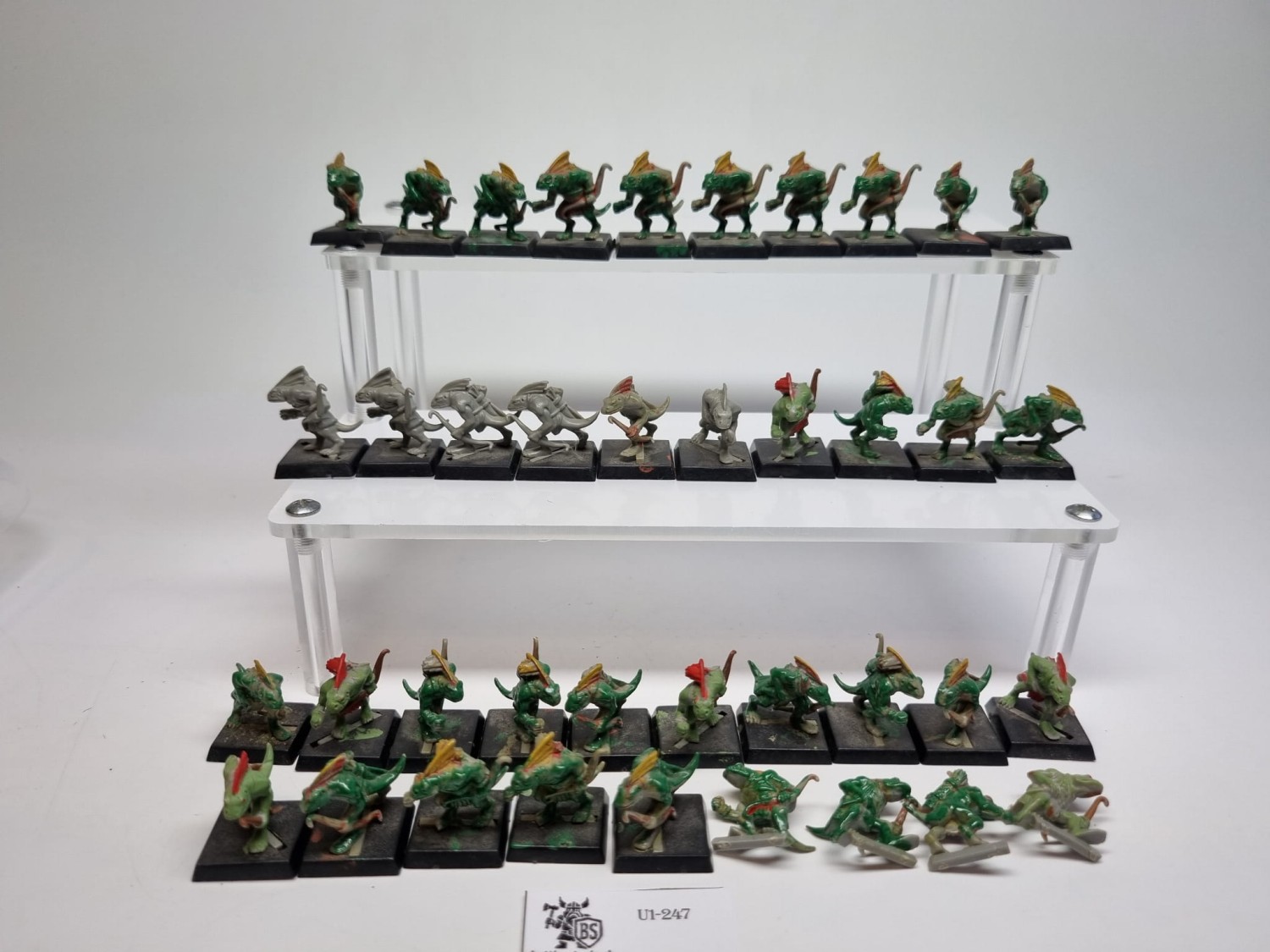 WFB Pakiet skink monopose