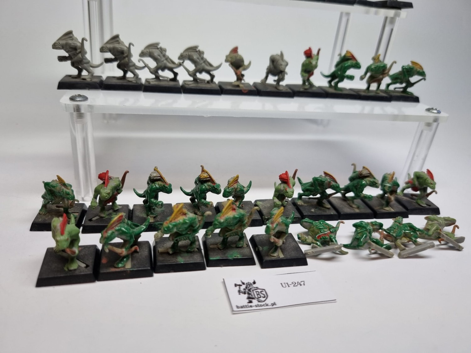 WFB Pakiet skink monopose