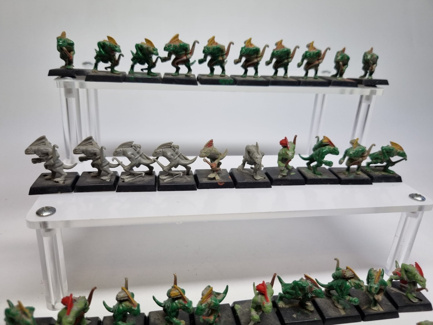 WFB Pakiet skink monopose