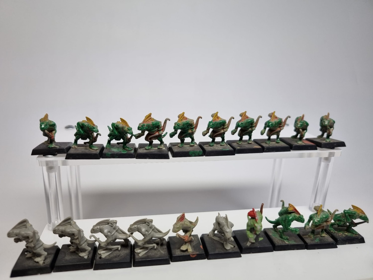 WFB Pakiet skink monopose