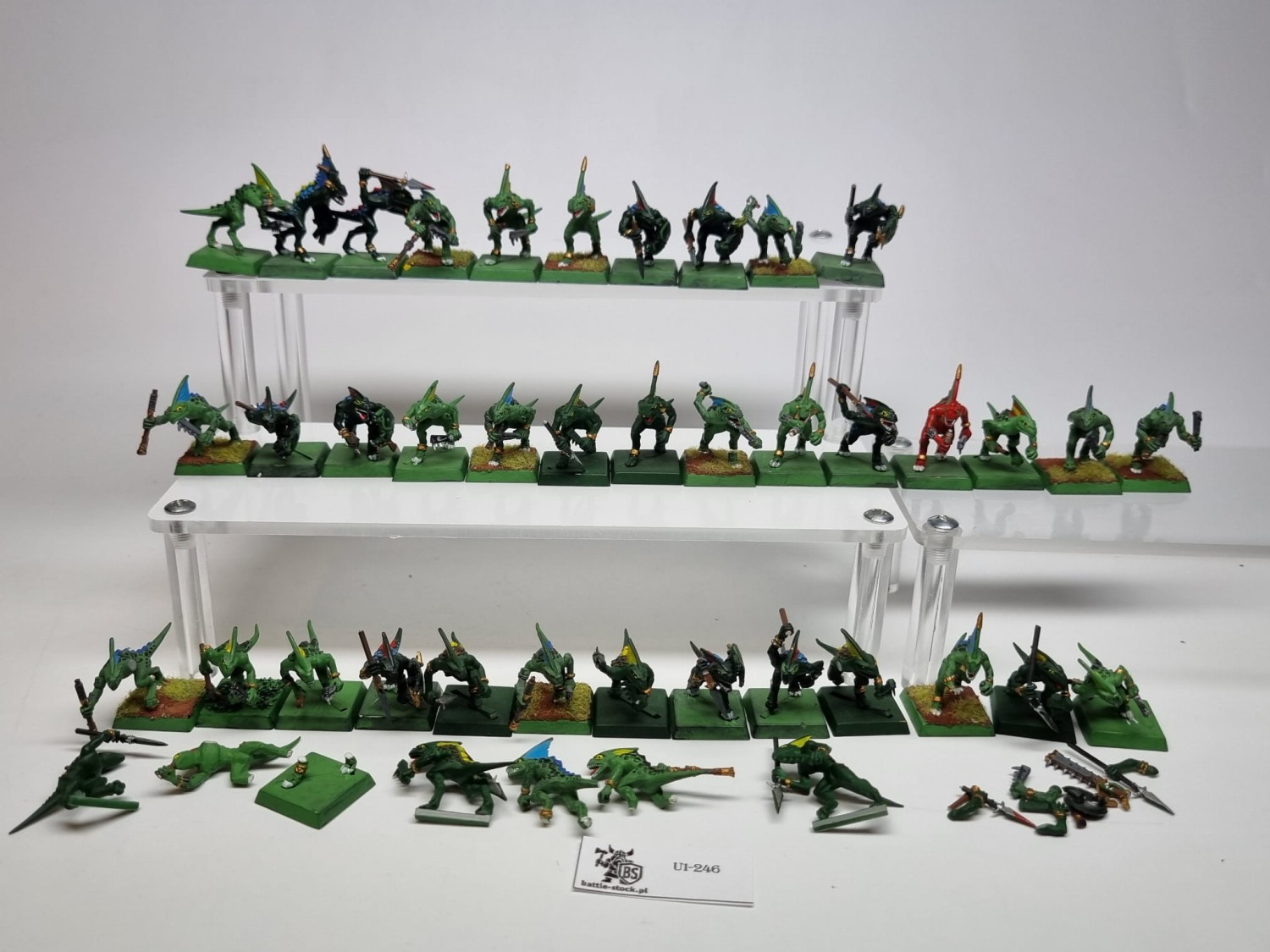 WFB Pakiet skink