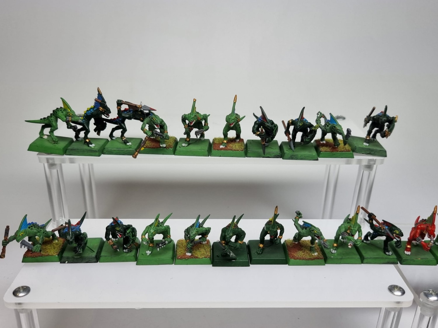 WFB Pakiet skink