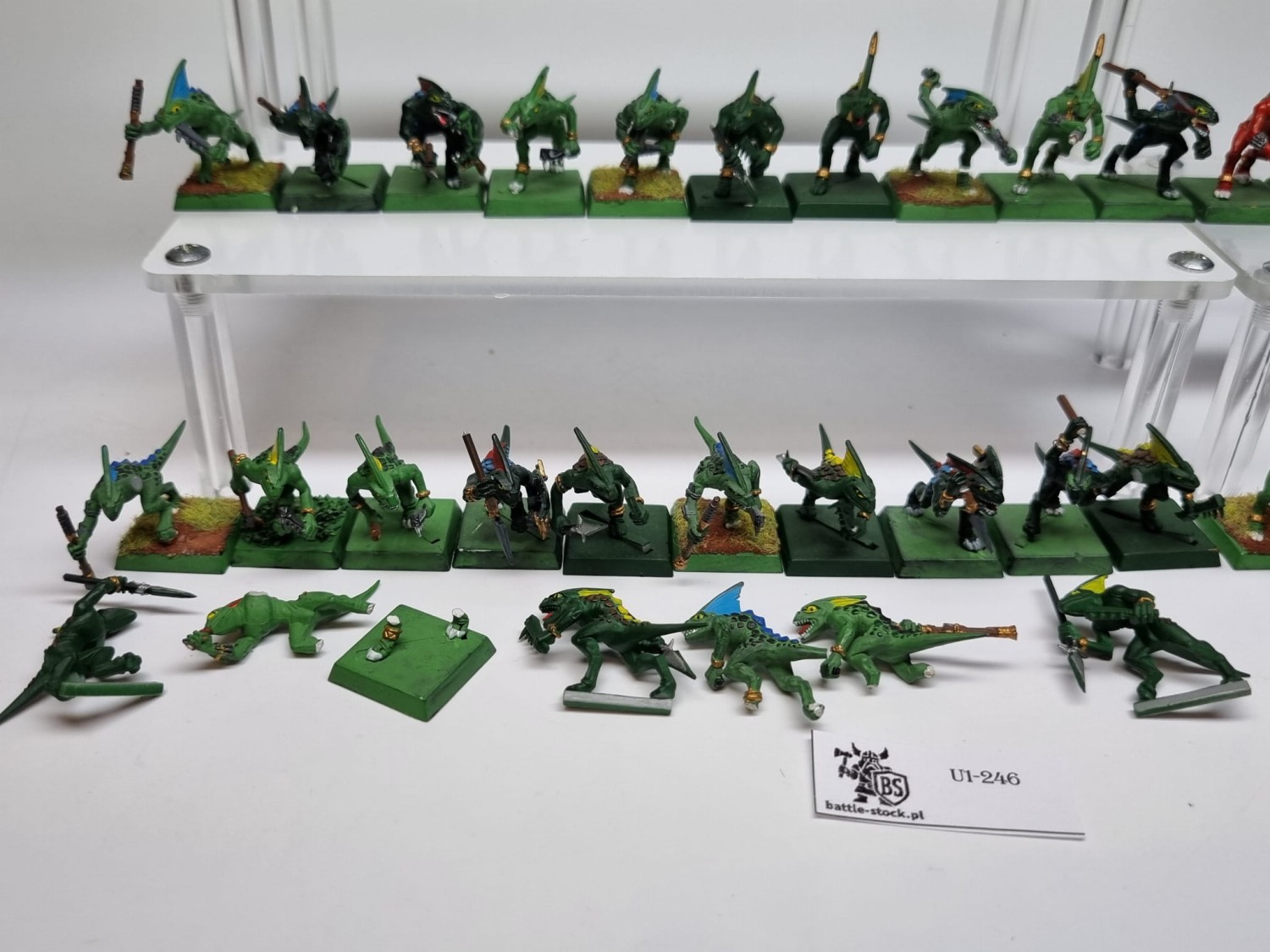 WFB Pakiet skink