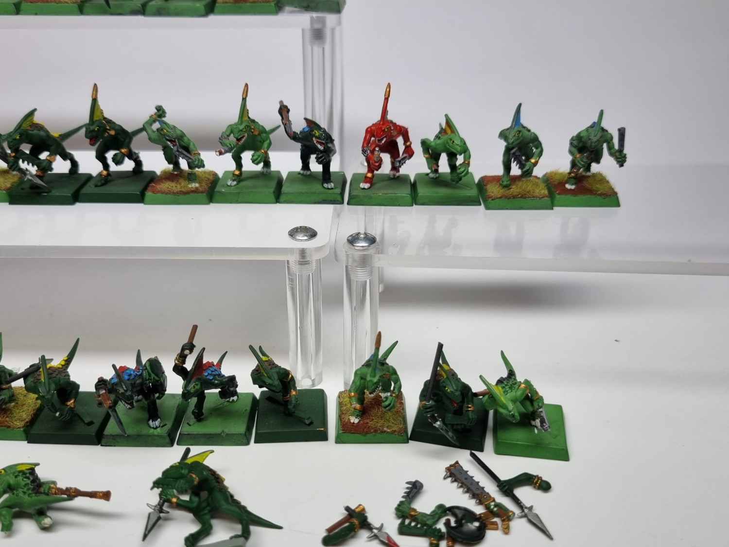 WFB Pakiet skink
