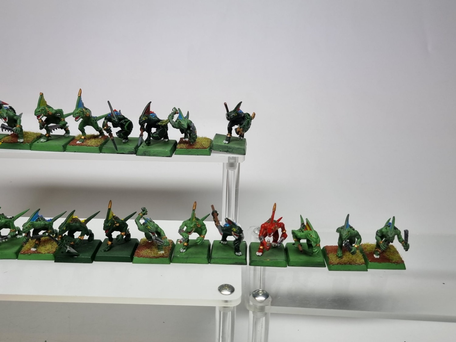 WFB Pakiet skink
