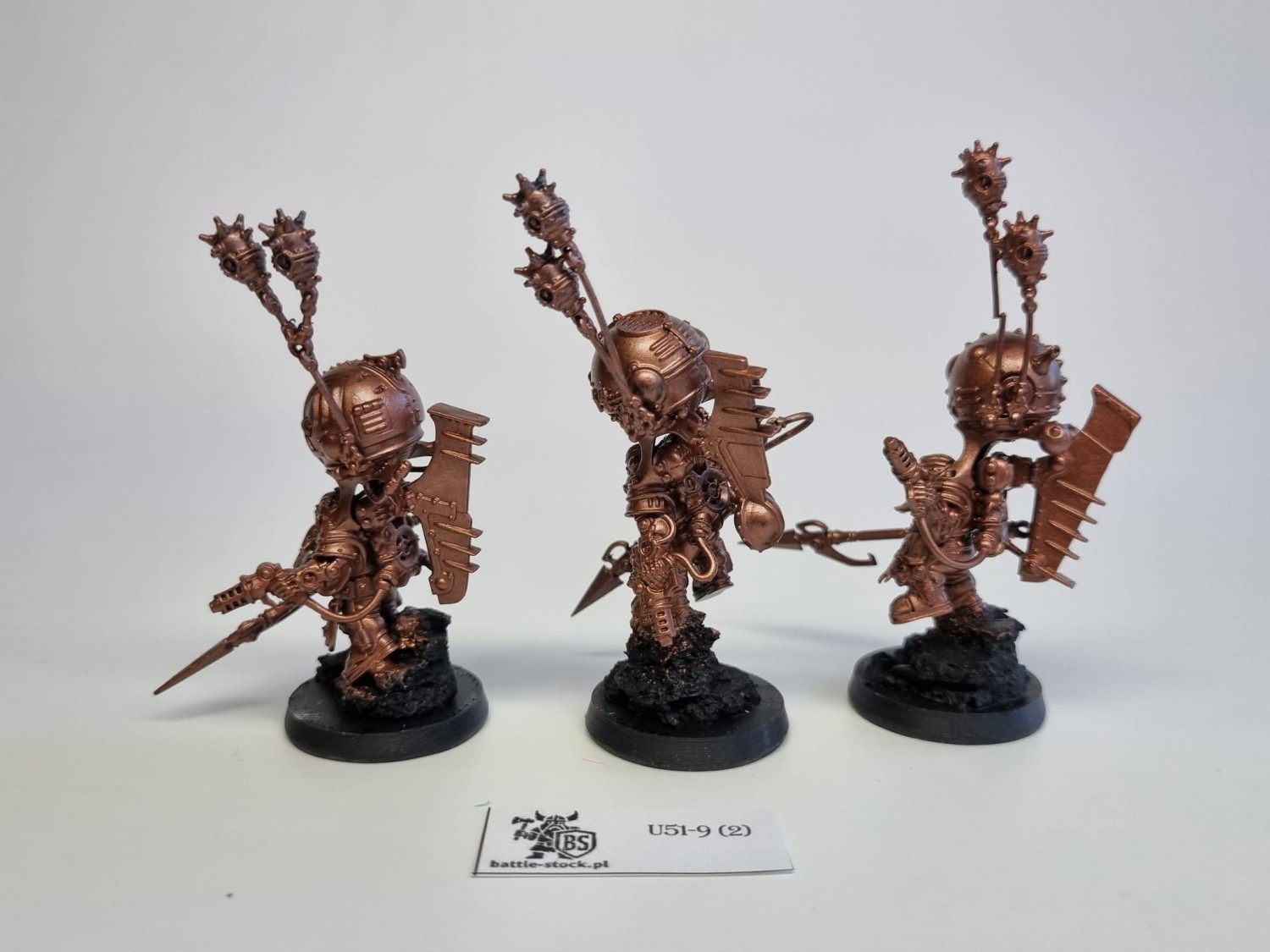 AoS Skywardens