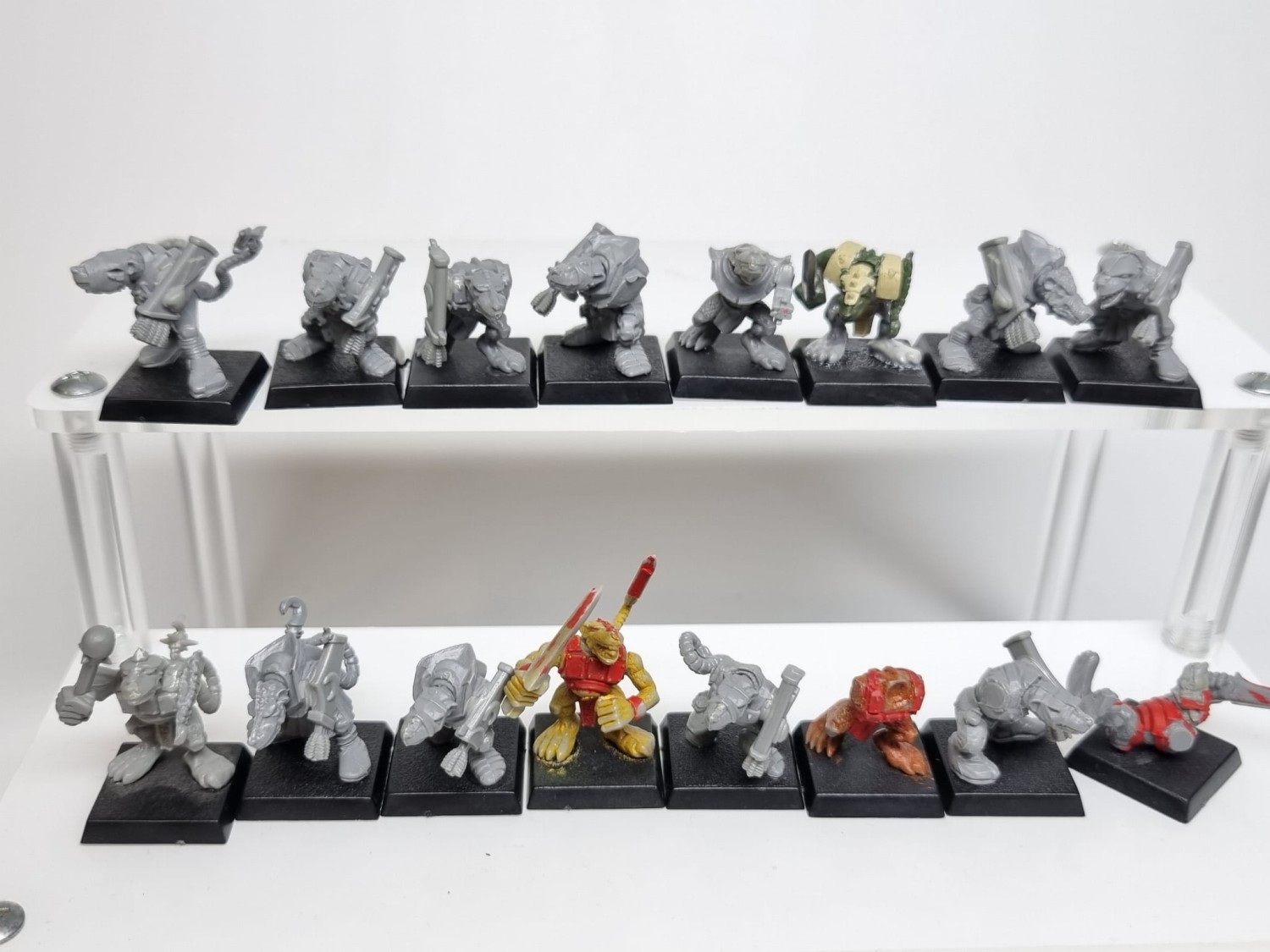 WFB niekompletni clan rats