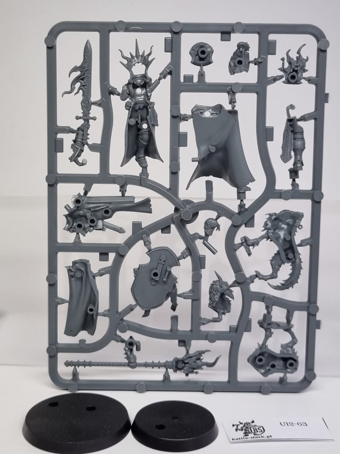 ScE Lord-Veritant with Gryph-crow