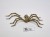 harlequin miniatures giant spider