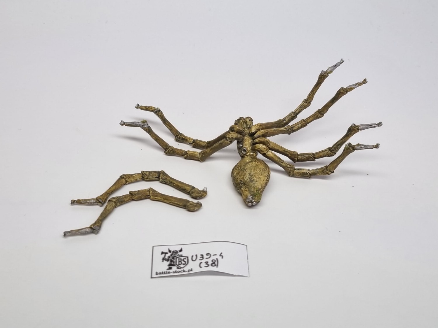 harlequin miniatures giant spider