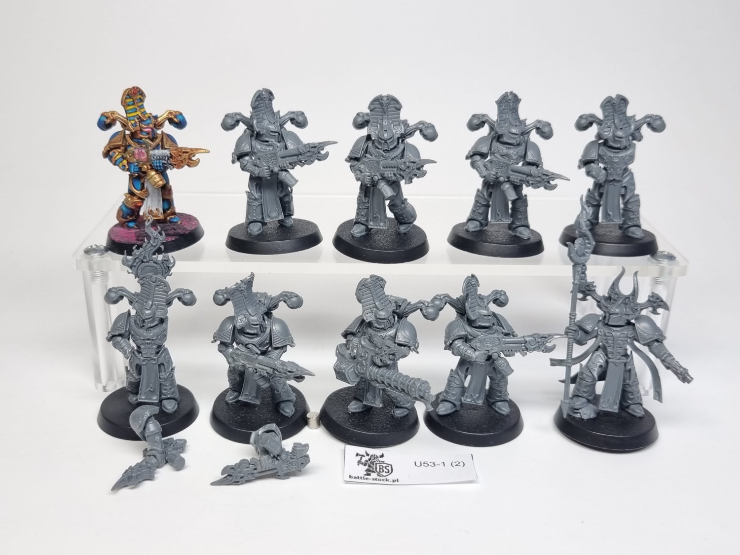 40k csm thousand sons tactical squad