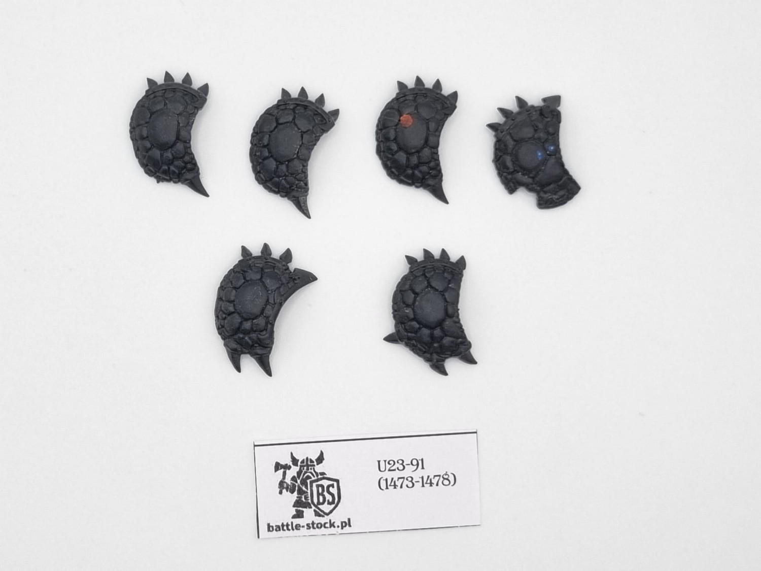 bitsy tarcze / shields sauraus