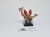 WFB dwarfs King kazador
