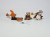 WFB dwarfs limited WD on shield