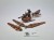 WFB dwarfs gyrocopter 6ed