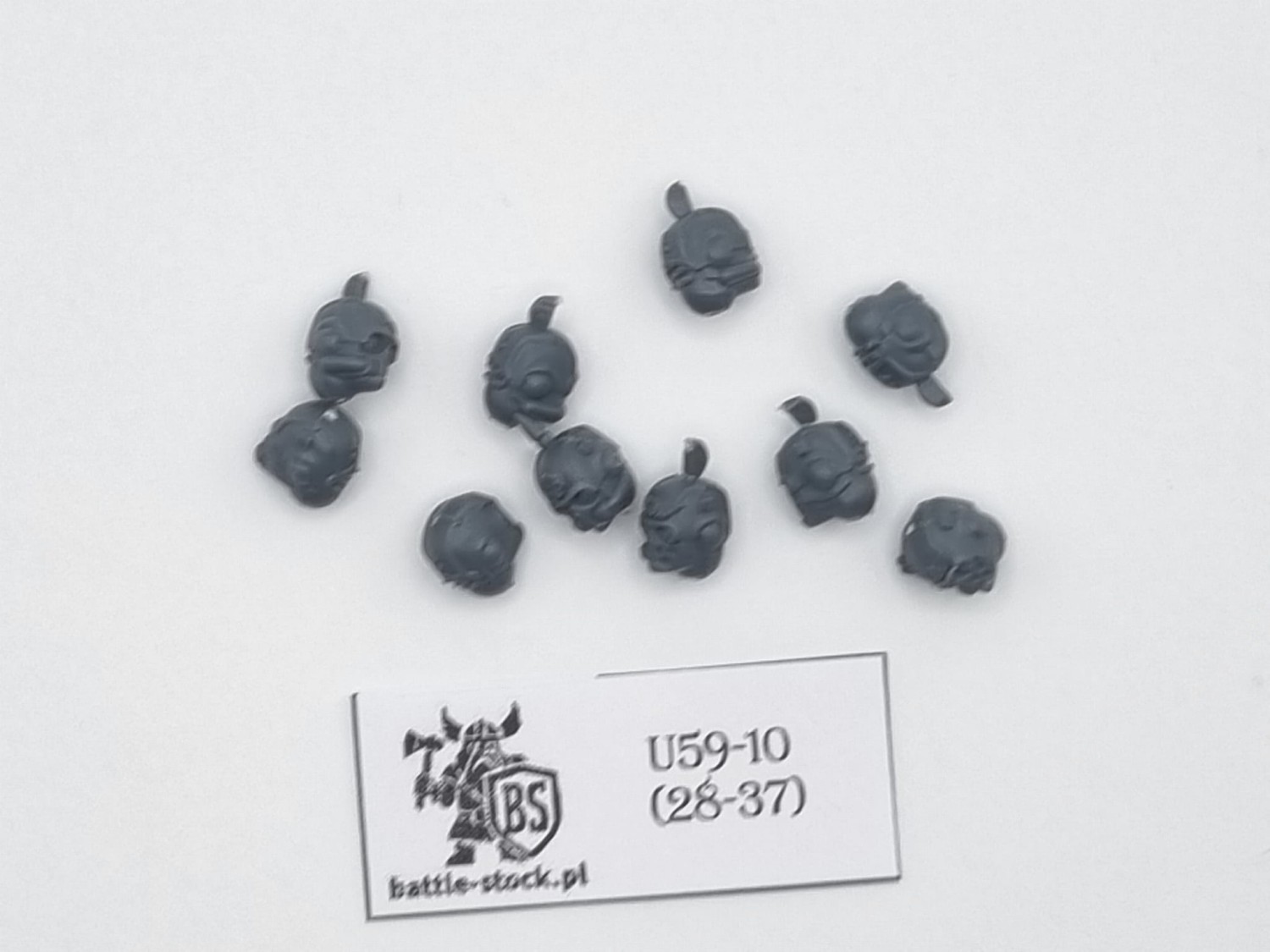 Bitsy IG tempestus scions główki