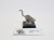 WFB giant rat M