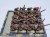 WFB slaves M (20szt)