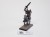 WFB wights on skeleton steed